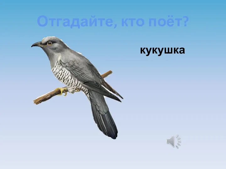 Отгадайте, кто поёт? кукушка