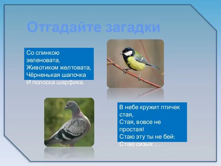 Отгадайте загадки Со спинкою зеленовата, Животиком желтовата, Чёрненькая шапочка И полоска