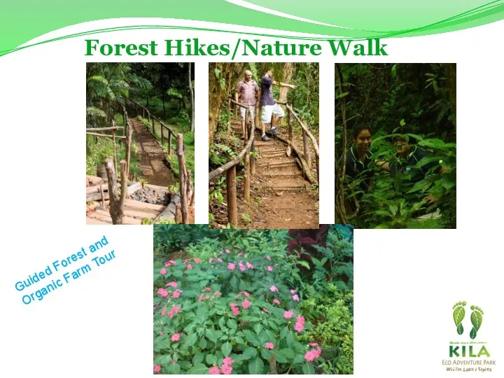 Forest Hikes/Nature Walk Guided Forest and Organic Farm Tour