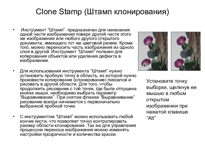 Clone Stamp (Штамп клонирования) Инструмент “Штамп” предназначен для нанесения одной части
