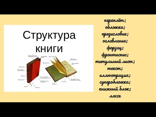 переплёт; обложка; предисловие; оглавление; форзац; фронтиспис; титульный лист; текст; иллюстрация; суперобложка; книжный блок; ляссе