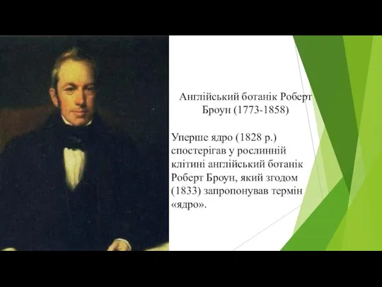 Англійський ботанік Роберт Броун (1773-1858) Уперше ядро (1828 р.) спостерігав у
