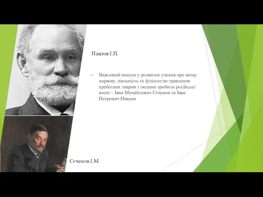 Павлов І.П. Важливий внесок у розвиток учення про вищу нервову діяльність