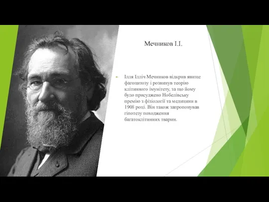Мечников І.І. Ілля Ілліч Мечников відкрив явище фагоцитозу і розвинув теорію