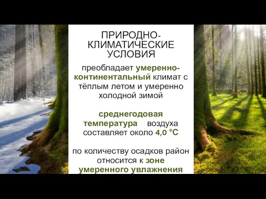 ПРИРОДНО-КЛИМАТИЧЕСКИЕ УСЛОВИЯ преобладает умеренно-континентальный климат с тёплым летом и умеренно холодной