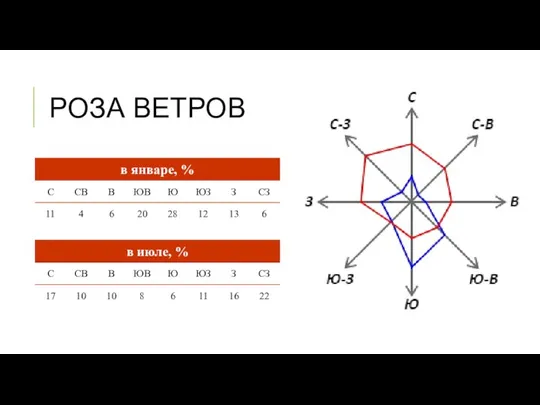 РОЗА ВЕТРОВ