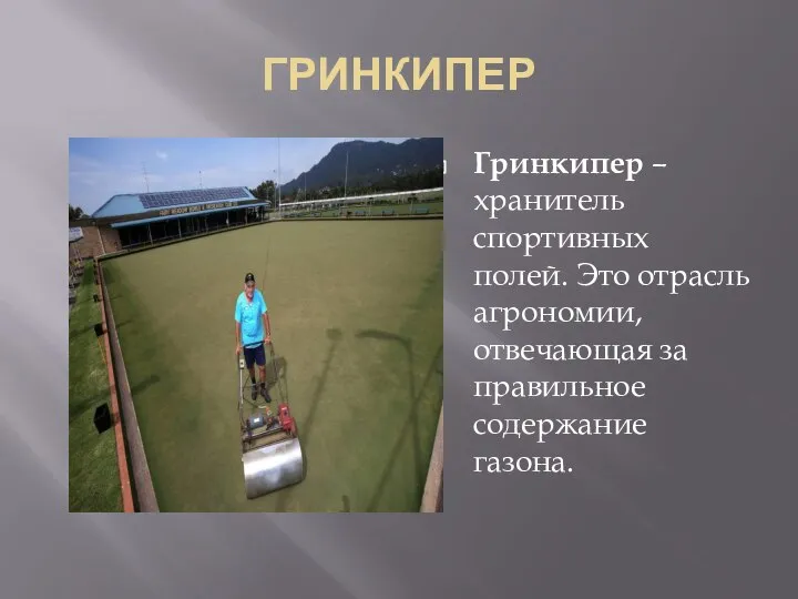 ГРИНКИПЕР Гринкипер – хранитель спортивных полей. Это отрасль агрономии, отвечающая за правильное содержание газона.