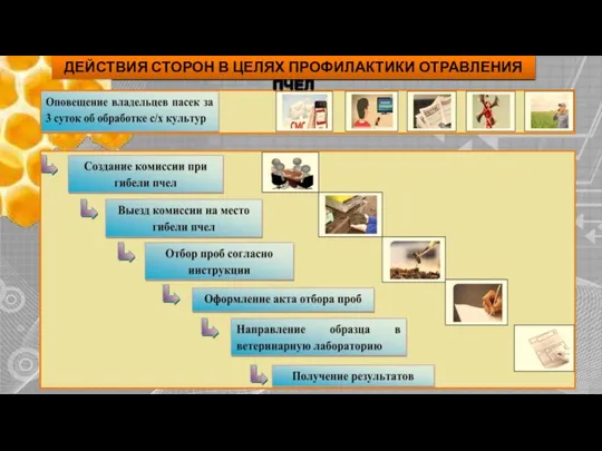 ДЕЙСТВИЯ СТОРОН В ЦЕЛЯХ ПРОФИЛАКТИКИ ОТРАВЛЕНИЯ ПЧЕЛ
