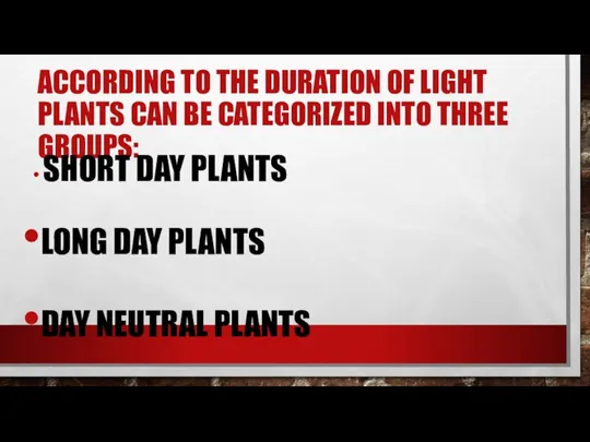 ACCORDING TO THE DURATION OF LIGHT PLANTS CAN BE CATEGORIZED INTO