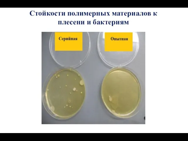 Стойкости полимерных материалов к плесени и бактериям