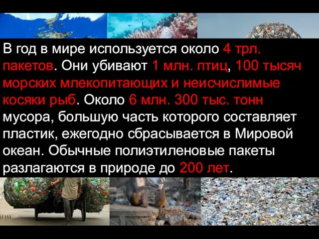 В год в мире используется около 4 трл. пакетов. Они убивают