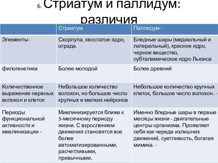 6. Стриатум и паллидум: различия