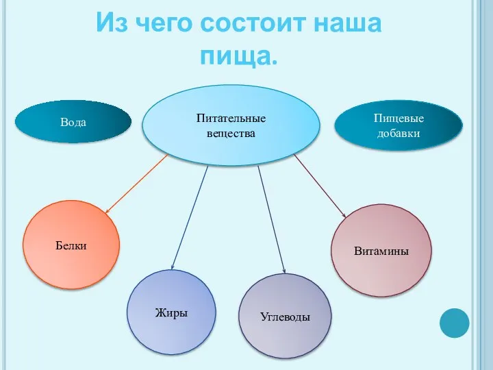 Из чего состоит наша пища. Вода Питательные вещества Белки Жиры Витамины Углеводы Пищевые добавки