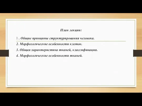 План лекции: 1 . Общие принципы структурирования человека. 2. Морфологические особенности