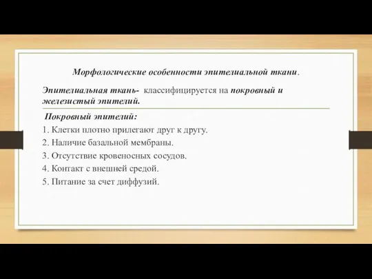 Морфологические особенности эпителиальной ткани. Эпителиальная ткань- классифицируется на покровный и железистый