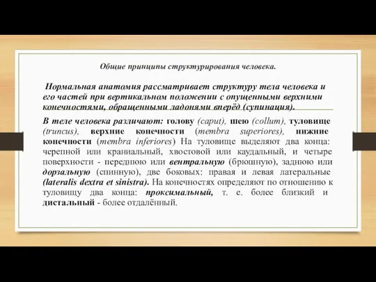 Общие принципы структурирования человека. Нормальная анатомия рассматривает структуру тела человека и