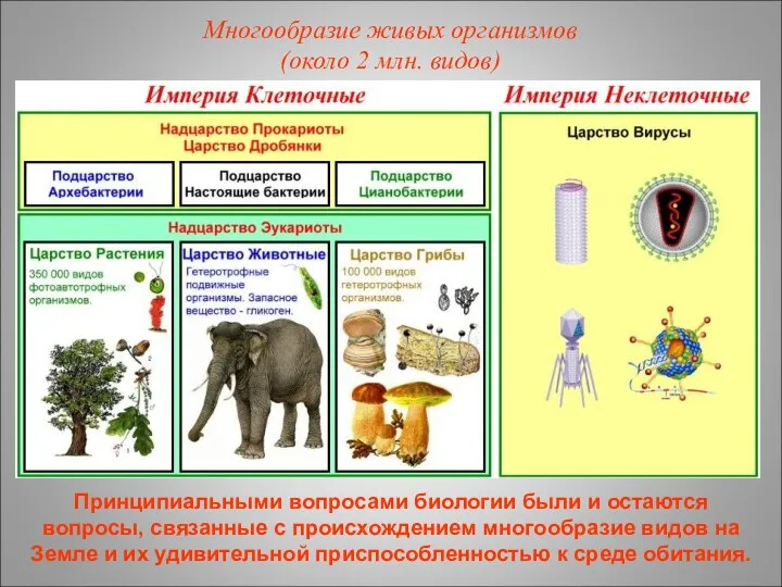 Многообразие живых организмов (около 2 млн. видов) Принципиальными вопросами биологии были