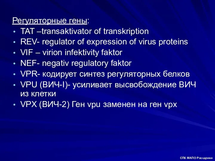 Регуляторные гены: TAT –transaktivator of transkription REV- regulator of expression of