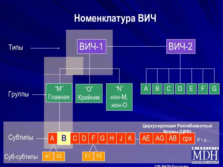 Номенклатура ВИЧ Суб-субтипы СПб МАПО Росздрава