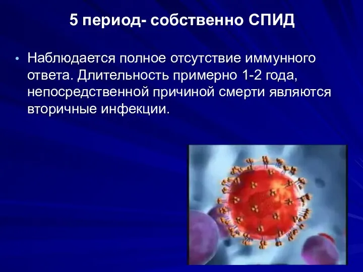 5 период- собственно СПИД Наблюдается полное отсутствие иммунного ответа. Длительность примерно