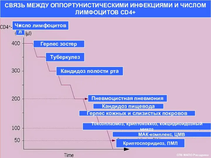 СВЯЗЬ МЕЖДУ ОППОРТУНИСТИЧЕСКИМИ ИНФЕКЦИЯМИ И ЧИСЛОМ ЛИМФОЦИТОВ CD4+ Число лимфоцитов кл.