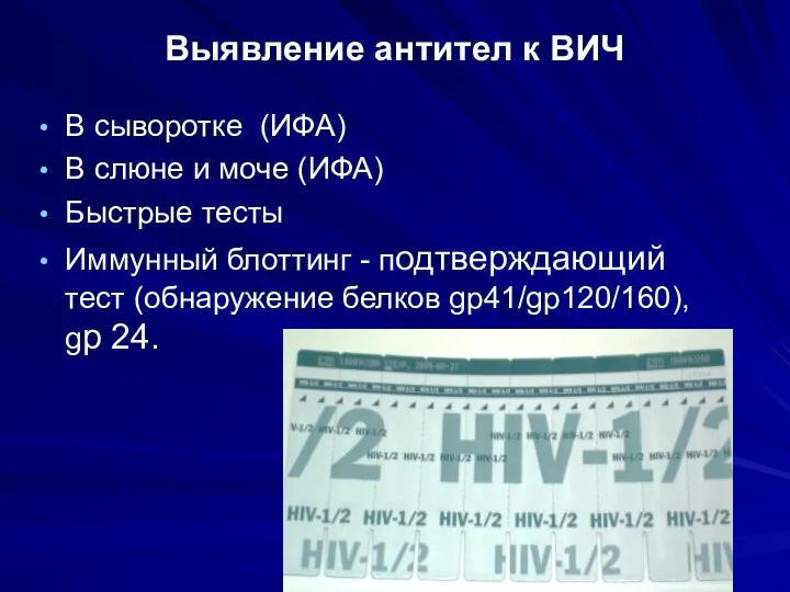 Выявление антител к ВИЧ В сыворотке (ИФА) В слюне и моче