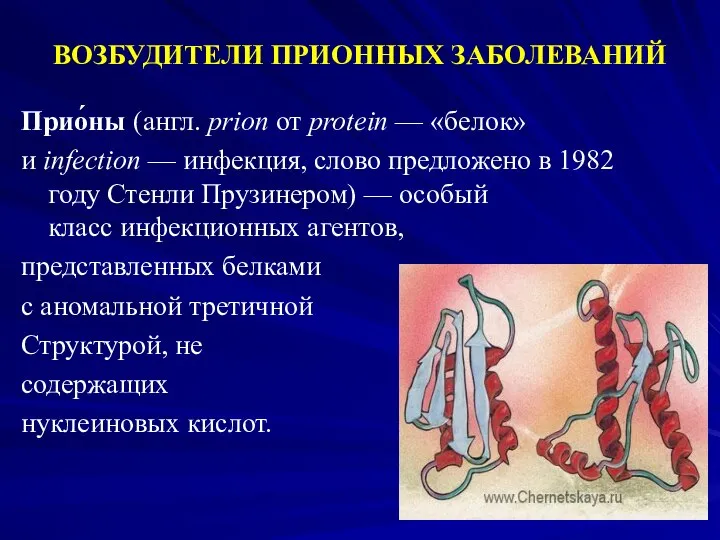 Прио́ны (англ. prion от protein — «белок» и infection — инфекция,