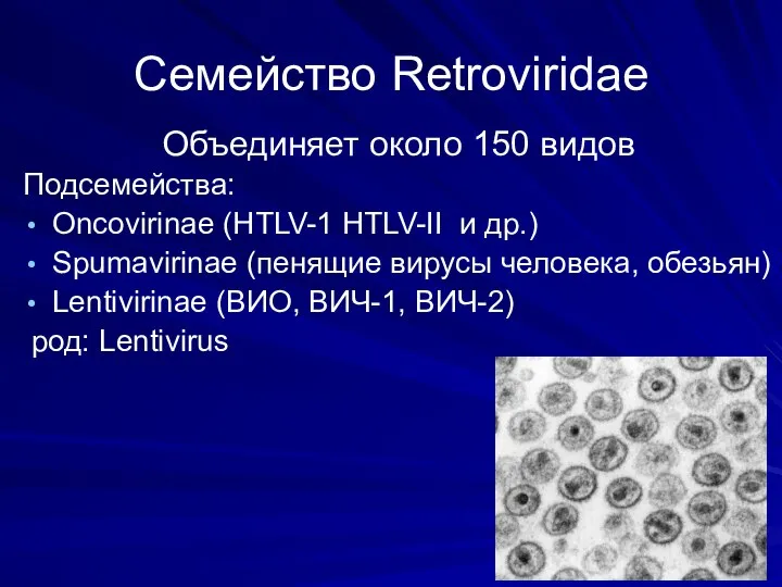 Семейство Retroviridae Объединяет около 150 видов Подсемейства: Оncovirinae (HTLV-1 HTLV-II и