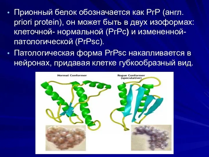 Прионный белок обозначается как РгР (англ. priori protein), он может быть