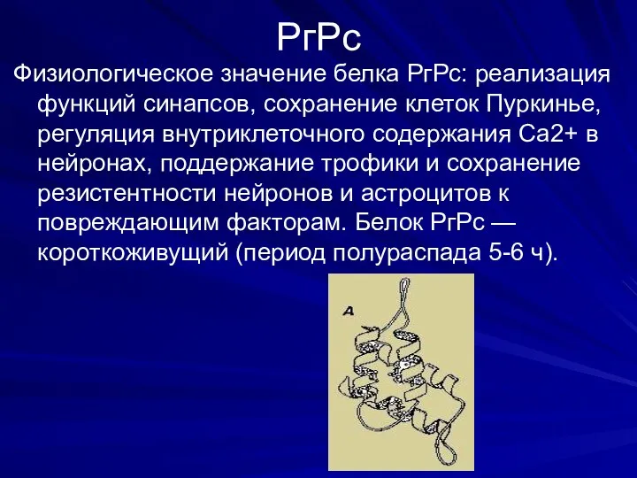 РгРс Физиологическое значение белка РгРс: реализация функций синапсов, сохранение клеток Пуркинье,