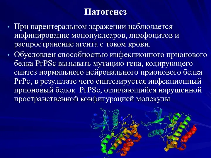 Патогенез При парентеральном заражении наблюдается инфицирование мононуклеаров, лимфоцитов и распространение агента