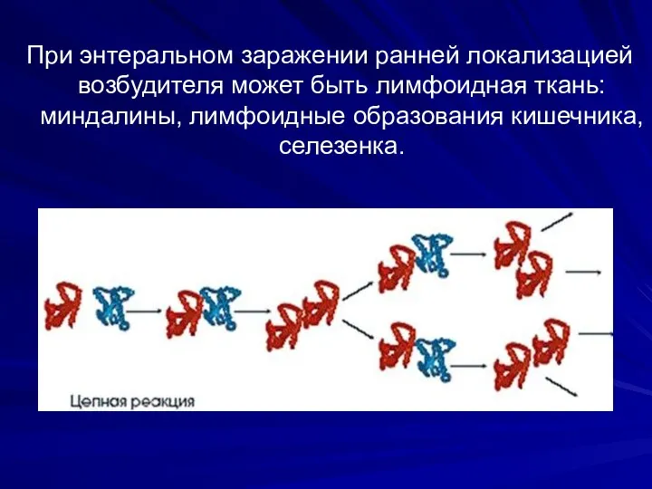 При энтеральном заражении ранней локализацией возбудителя может быть лимфоидная ткань: миндалины, лимфоидные образования кишечника, селезенка.