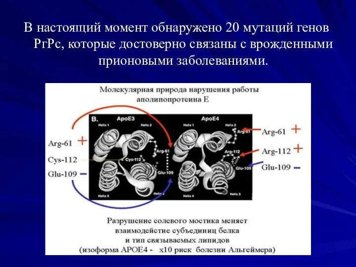 В настоящий момент обнаружено 20 мутаций генов РгРс, которые достоверно связаны с врожденными прионовыми заболеваниями.