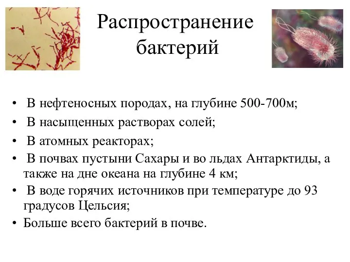 Распространение бактерий В нефтеносных породах, на глубине 500-700м; В насыщенных растворах