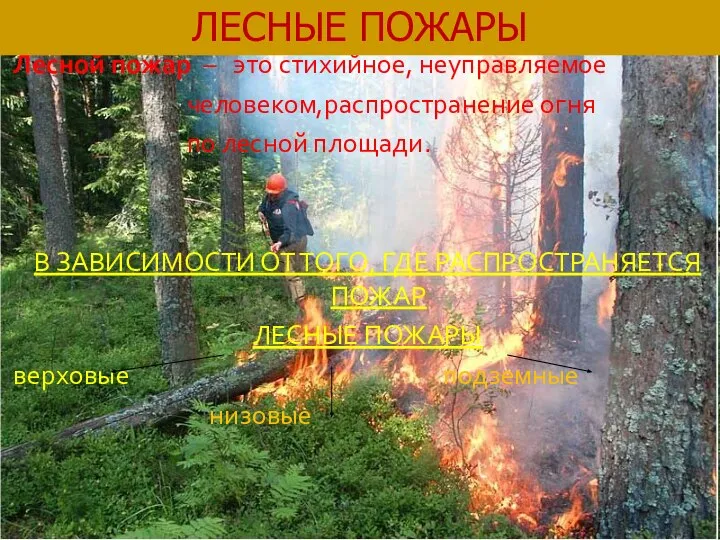 Лесной пожар – это стихийное, неуправляемое человеком,распространение огня по лесной площади.
