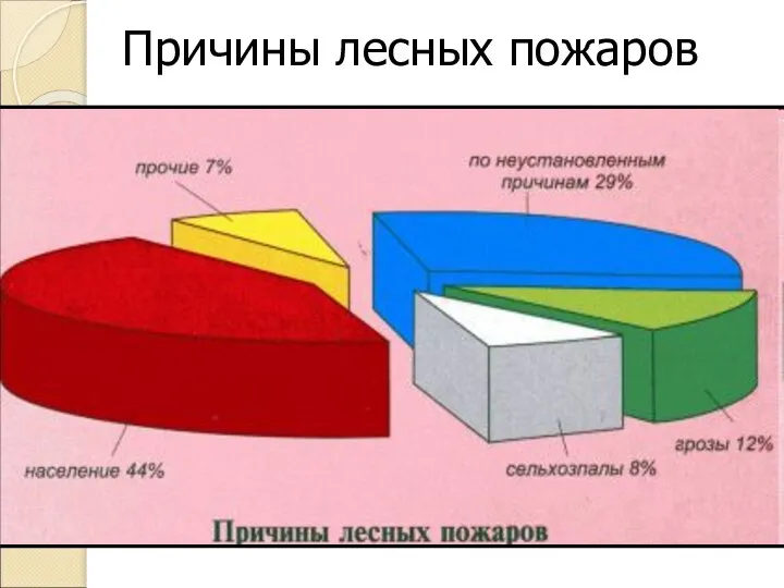 Причины лесных пожаров