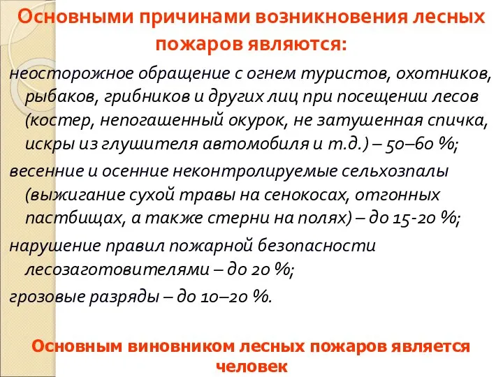 Основными причинами возникновения лесных пожаров являются: неосторожное обращение с огнем туристов,