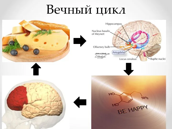 Вечный цикл