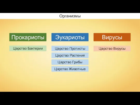 Прокариоты Эукариоты Вирусы Царство Бактерии Царство Протисты Царство Вирусы Царство Растения Царство Грибы Царство Животные Организмы