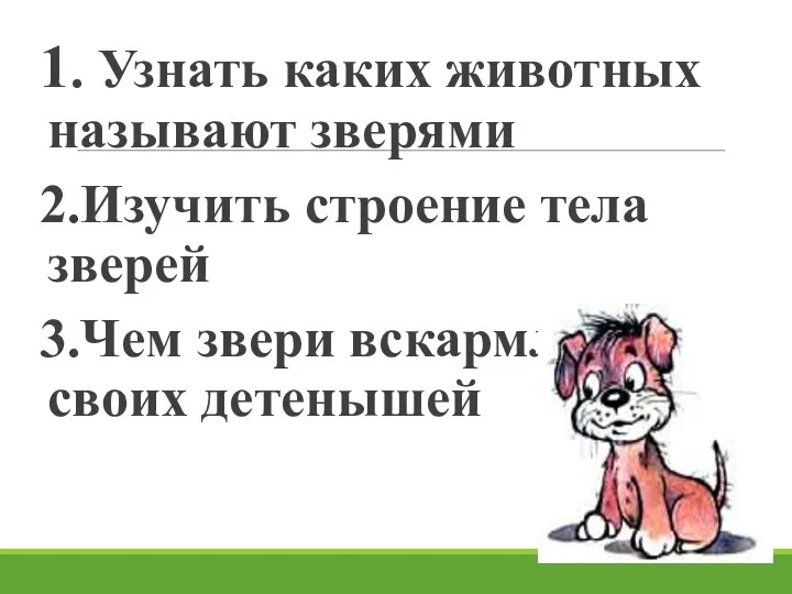 1. Узнать каких животных называют зверями 2.Изучить строение тела зверей 3.Чем звери вскармливают своих детенышей