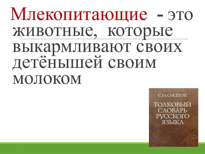 Млекопитающие - это животные, которые выкармливают своих детёнышей своим молоком