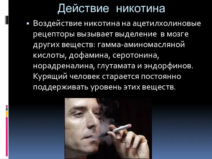Действие никотина Воздействие никотина на ацетилхолиновые рецепторы вызывает выделение в мозге