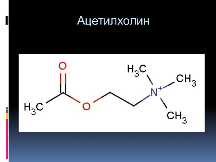 Ацетилхолин