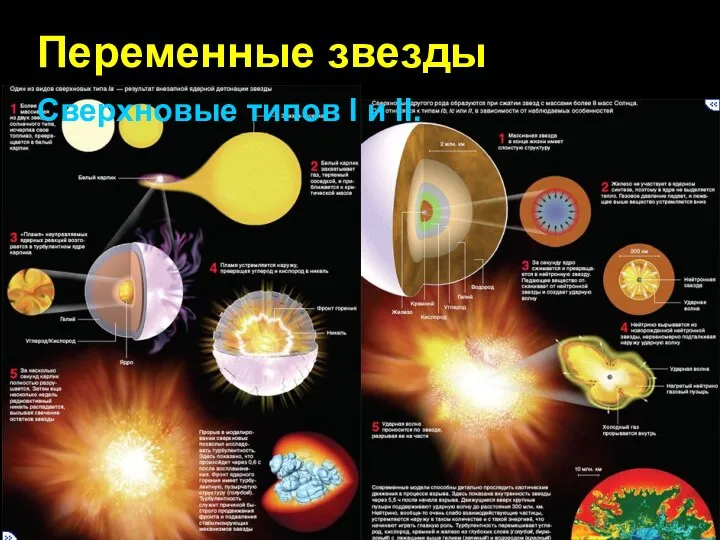 Переменные звезды Сверхновые типов I и II.