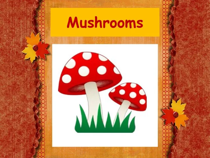 Mushrooms