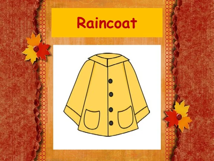 Raincoat