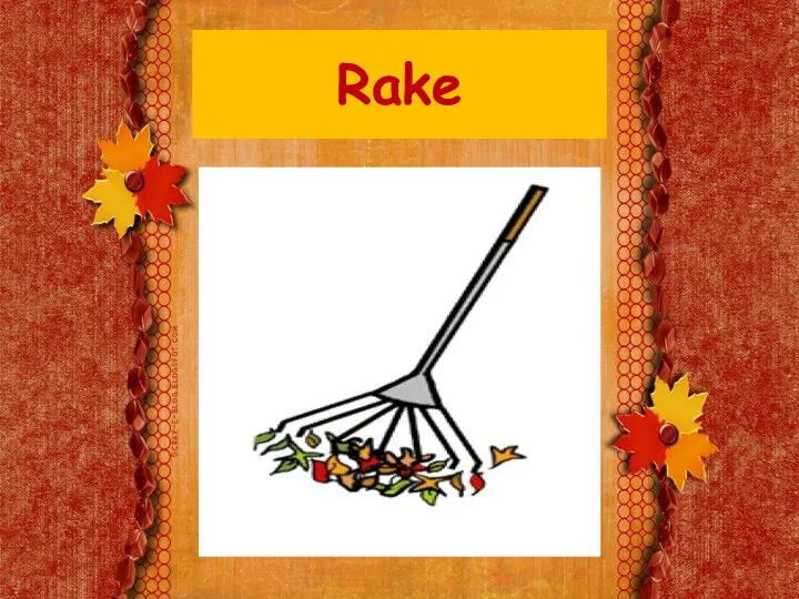 Rake