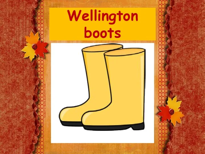 Wellington boots