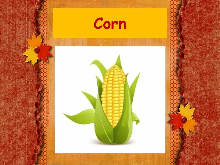 Corn