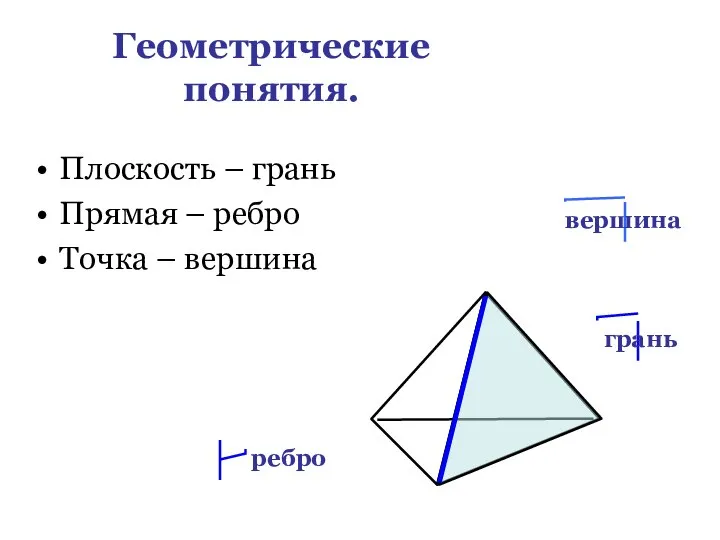 Геометрические понятия. Плоскость – грань Прямая – ребро Точка – вершина вершина грань ребро